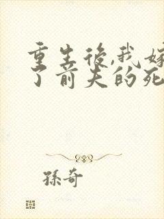 重生后,我嫁给了前夫的死对头封面