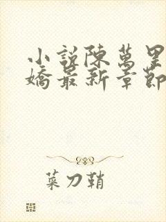 小说陈万里宋娇娇最新章节更新免费