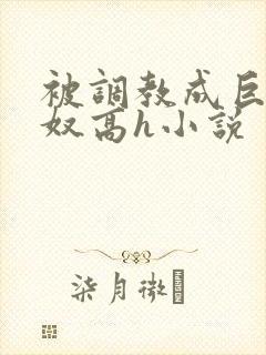 被调教成巨乳奶奴高h小说