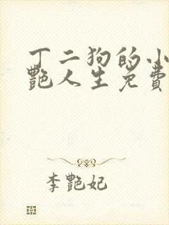 丁二狗的小说猎艳人生免费阅读全文