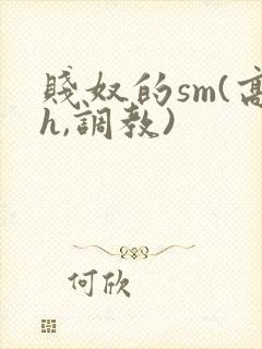 贱奴的sm(高h,调教)