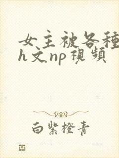 女主被各种调教h文np视频