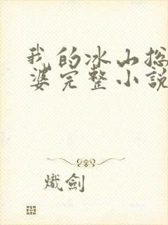 我的冰山总裁老婆完整小说