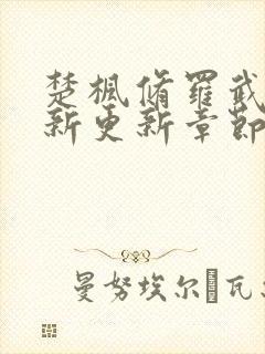 楚枫修罗武神最新更新章节