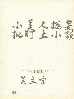小美人总是被疯批盯上小说阅读封面