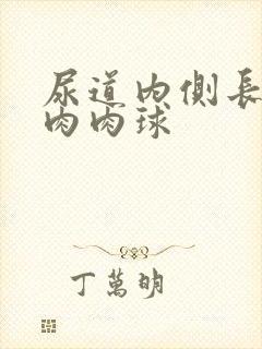 尿道内侧长了个肉肉球