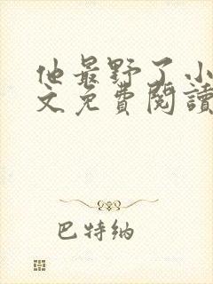 他最野了小说全文免费阅读无弹窗