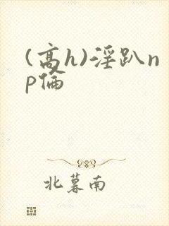 (高h)淫趴np伦