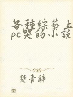 各种综艺上被npc哭的小说免费阅读