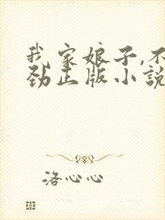我家娘子,不对劲正版小说