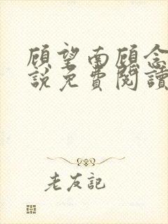 顾望南顾念北小说免费阅读最新章节