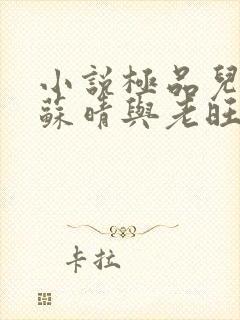 小说极品儿媳妇苏晴与老旺结局