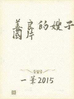 善良的嫂子2韩国片