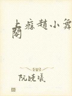 上瘾赵小舞笔趣阁