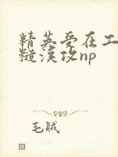 精英受在工地被糙汉攻np