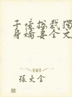 千亿总裁独宠替身娇妻全文小说阅读全文封面