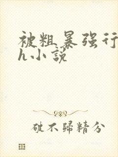 被粗暴强行玩弄h小说封面