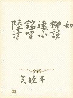 陆铭远柳如烟沈清雪小说