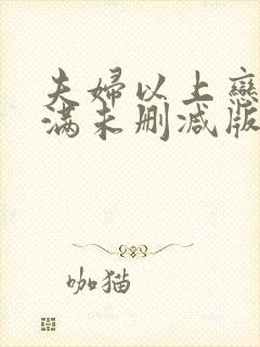 夫妇以上恋人未满未删减版动漫