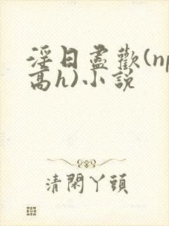 淫日尽欢(np高h)小说