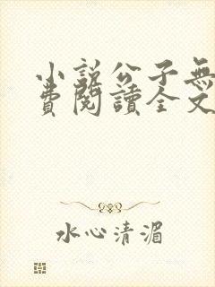 小说公子无双免费阅读全文封面