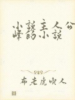 小说主人公叫林峰的小说