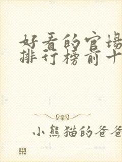 好看的官场小说排行榜前十名封面