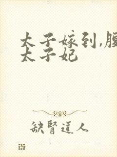 太子嫁到,腹黑太子妃