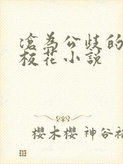 沧为公歧的清纯校花小说