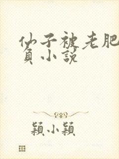 仙子被老肥丑欺负小说