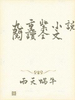 九重紫小说免费阅读全文