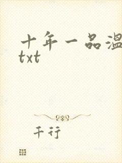 十年一品温如言txt封面