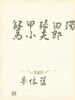 解甲归田独宠竹马小夫郎