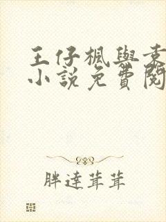 王仔枫与袁雯洁小说免费阅读