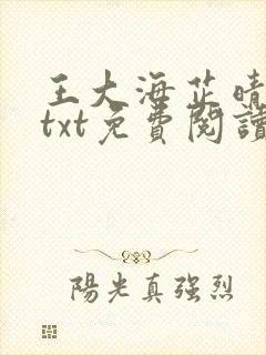 王大海芷晴小说txt免费阅读最新章节