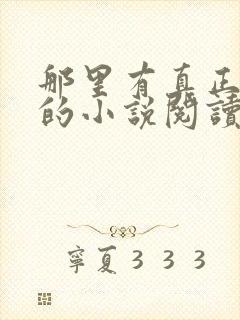 那里有真正免费的小说阅读