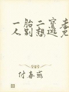 一胎二宝老婆大人别想逃免费阅读