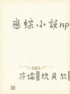 恋综小说np
