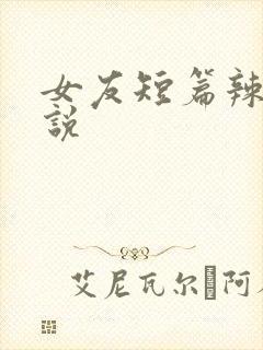 女友短篇辣文小说封面