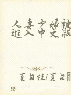 人妻少妇被猛烈进入中文版封面