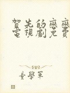 贺先的恋恋不忘电视剧免费24集