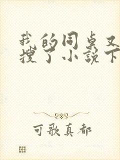 我的同桌又上热搜了小说下载