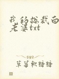 我的总裁白富美老婆txt