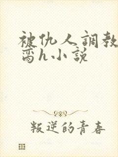 被仇人调教成禁脔h小说