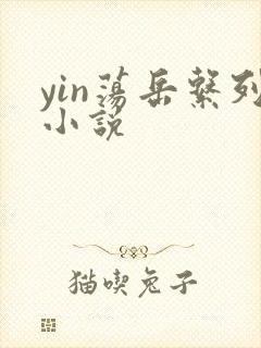 yin荡岳系列小说封面