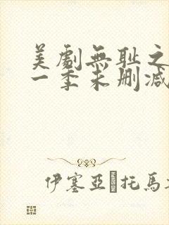 美剧无耻之徒第一季未删减