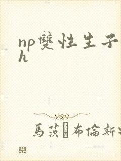 np双性生子高h封面