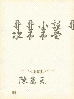 哥哥小说 哥哥攻弟弟受