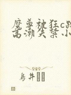 魔尊被狂c躁到高潮失禁小说