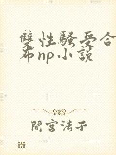 双性骚受合集抹布np小说封面